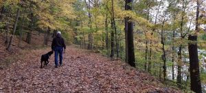 Person from behind walking a dog on a trail with leaves