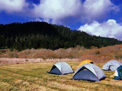 Tents in a field with mountains in the back