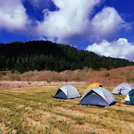 Tents in a field with mountains in the back